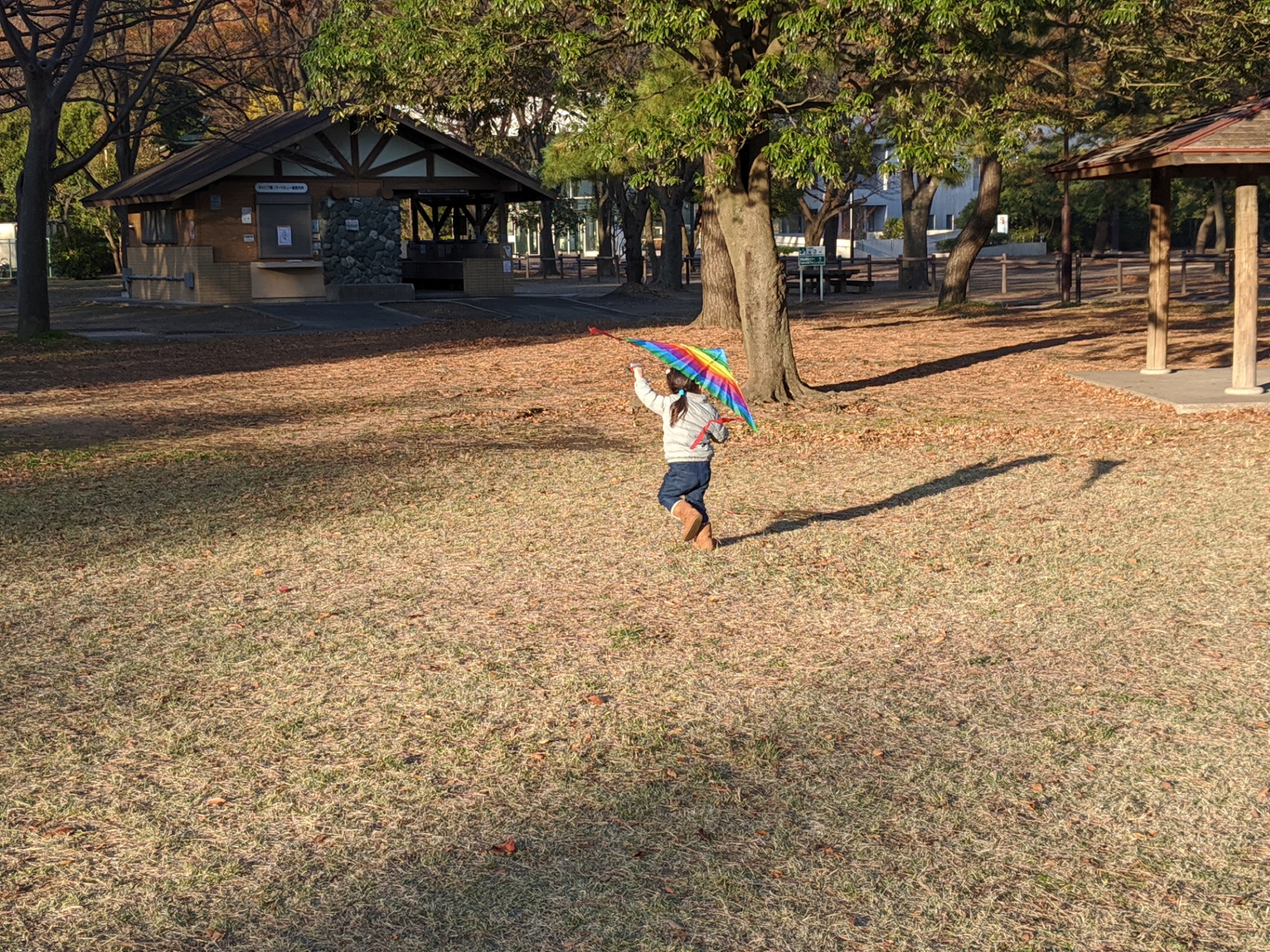 公園で凧揚げをする様子