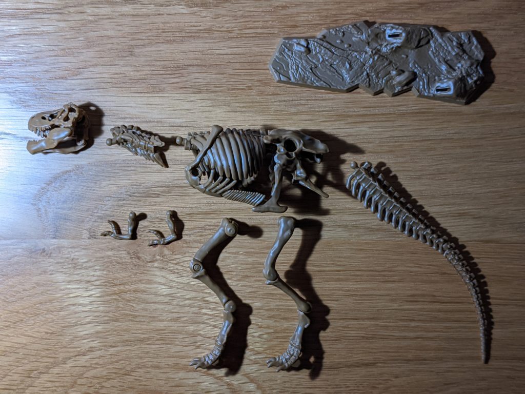 小学8年生 付録 ティラノサウルス全身骨格の各部位