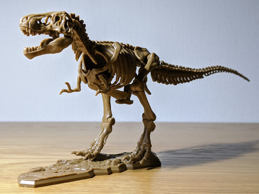 小学8年生 付録 ティラノサウルス全身骨格 組み立て後