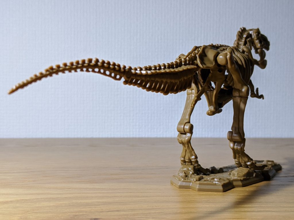 小学8年生 付録 ティラノサウルス全身骨格 組み立て後 後方から