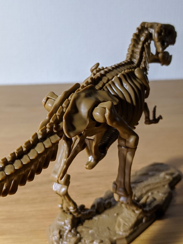 小学8年生 付録 ティラノサウルス全身骨格 腰と後ろ脚