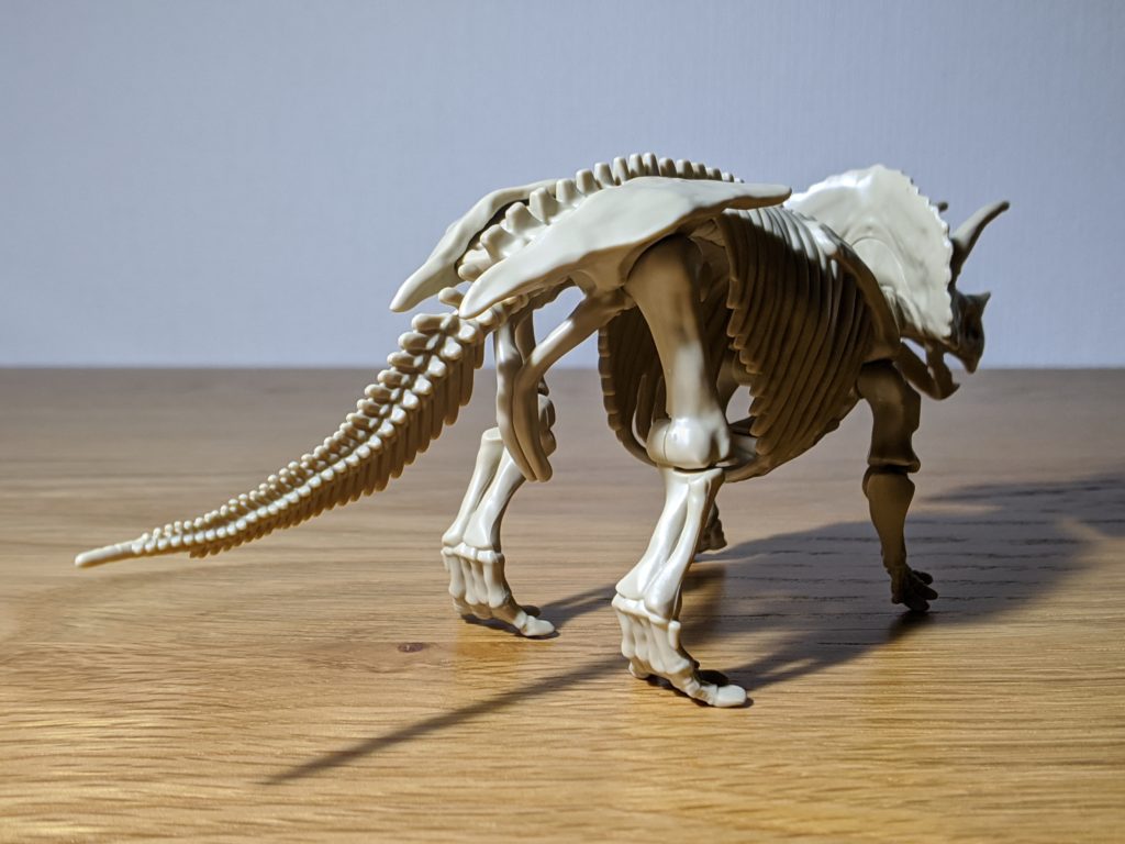 小学一年生 付録 トリケラトプス全身骨格 組み立て後 後方から