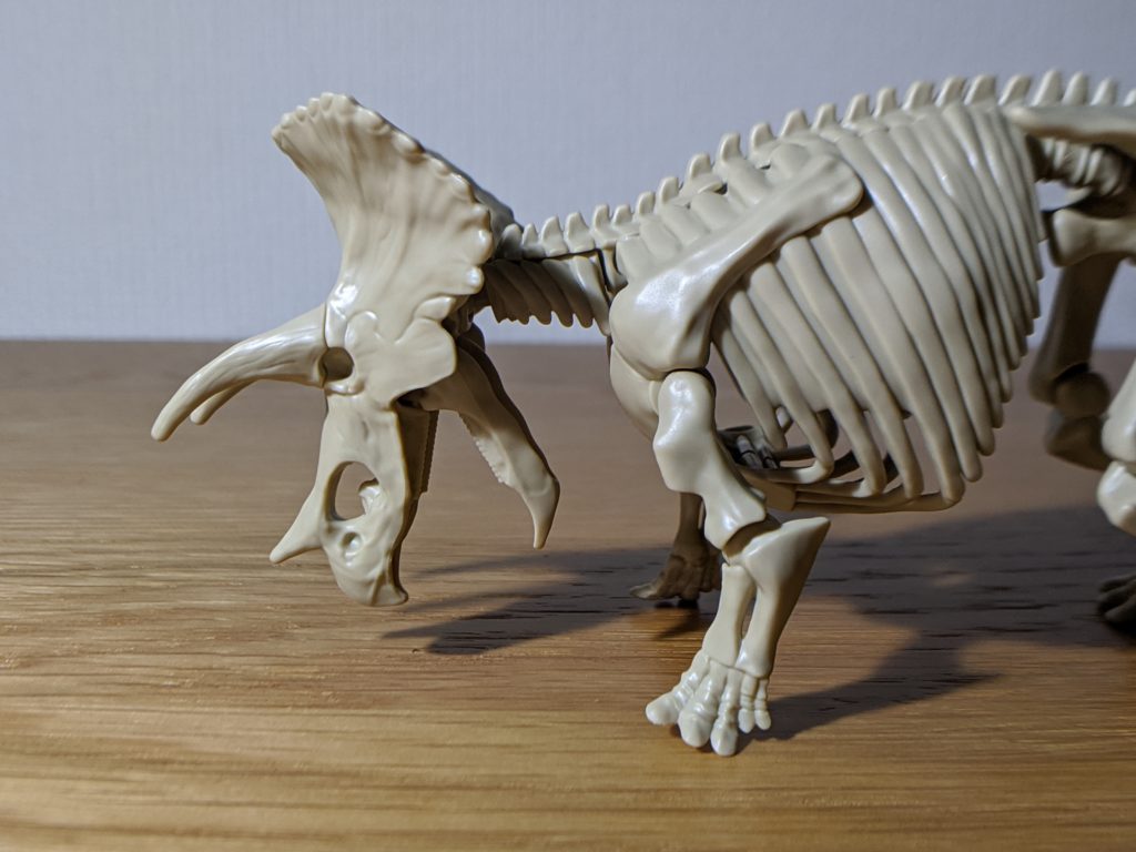 小学一年生 付録 トリケラトプス全身骨格 顎と頸部の可動