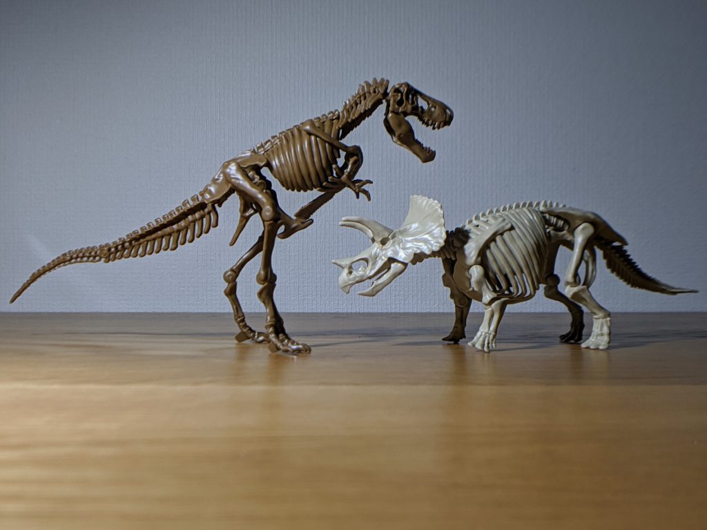 小学一年生 付録 トリケラトプス全身骨格と小学8年生 付録 ティラノサウルス全身骨格