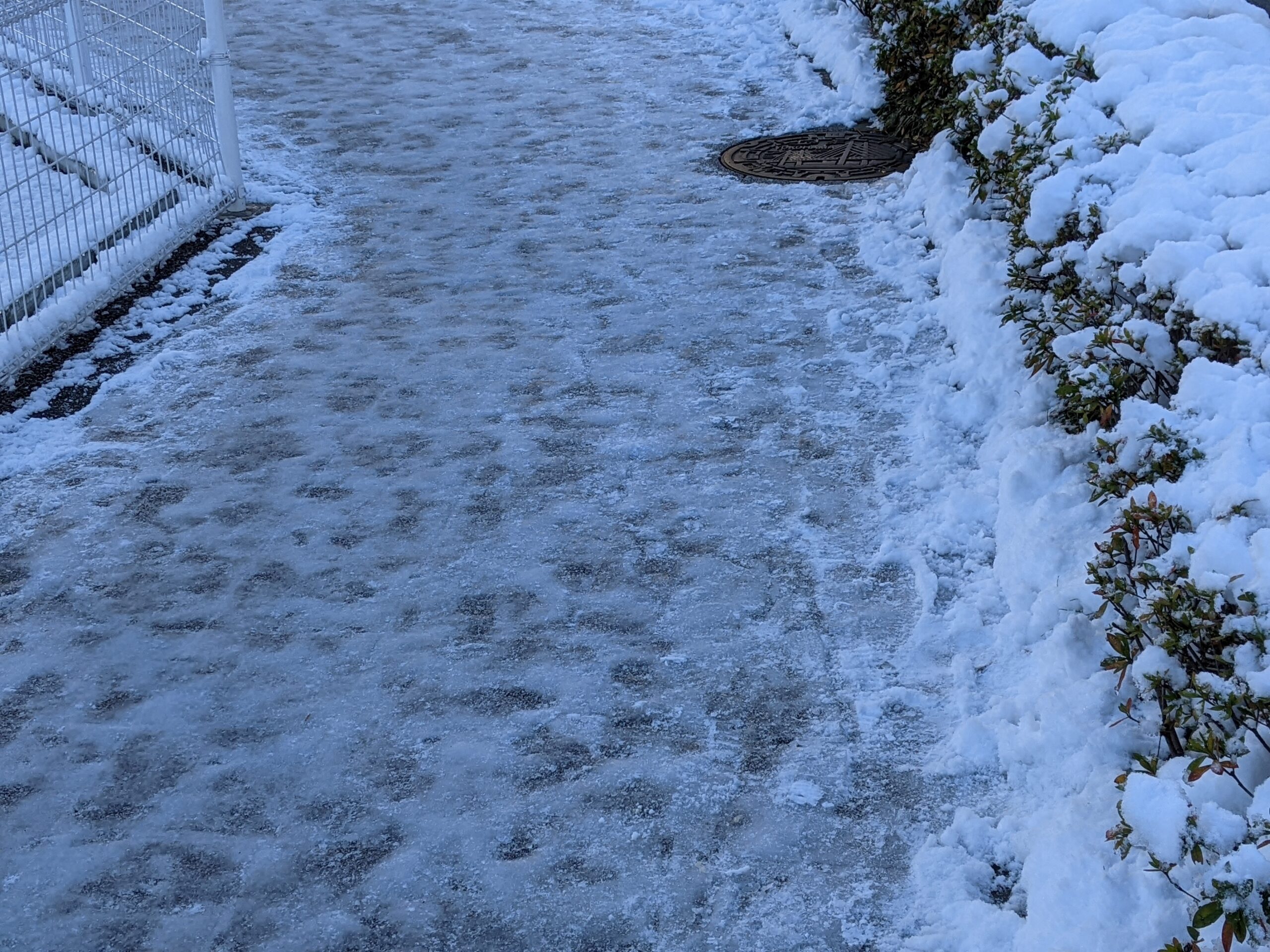 雪が降った後の歩道