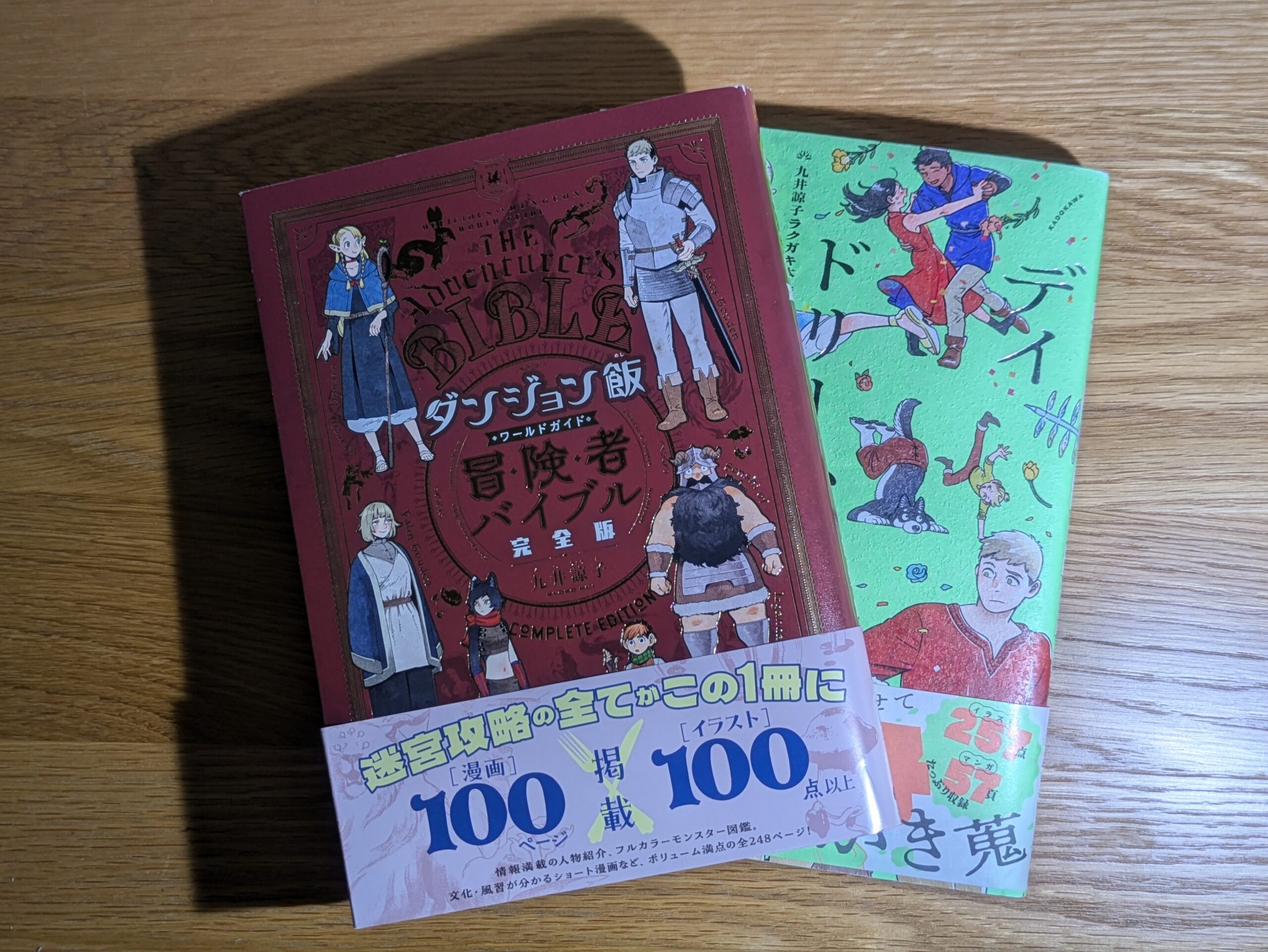 ダンジョン飯 ワールドガイド 冒険者バイブル 完全版と九井諒子ラクガキ本 デイドリーム・アワー