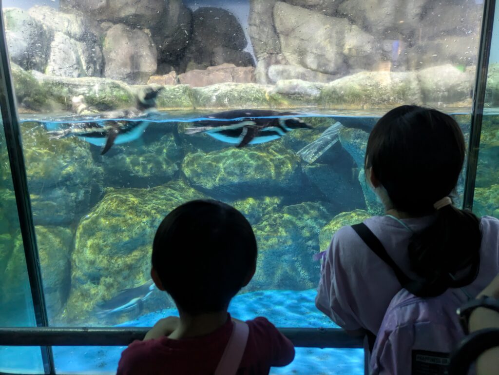 ペンギンと子供達