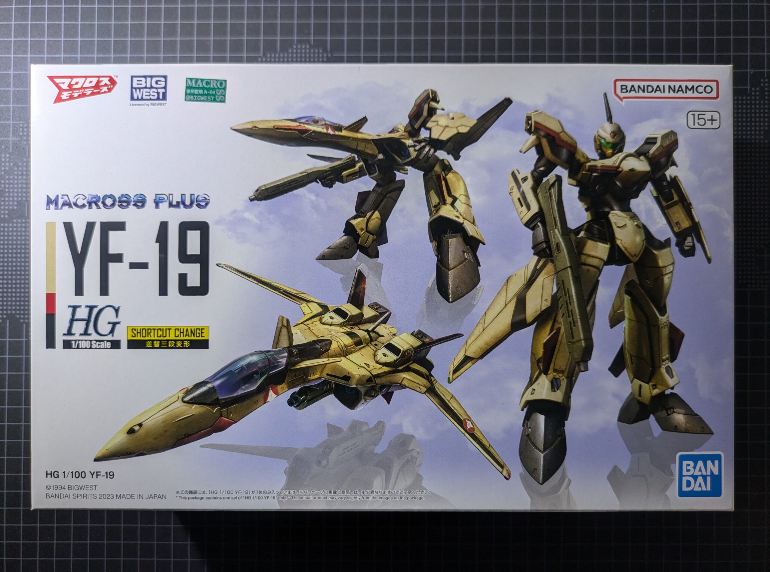 HG 1/100 YF-19 外箱