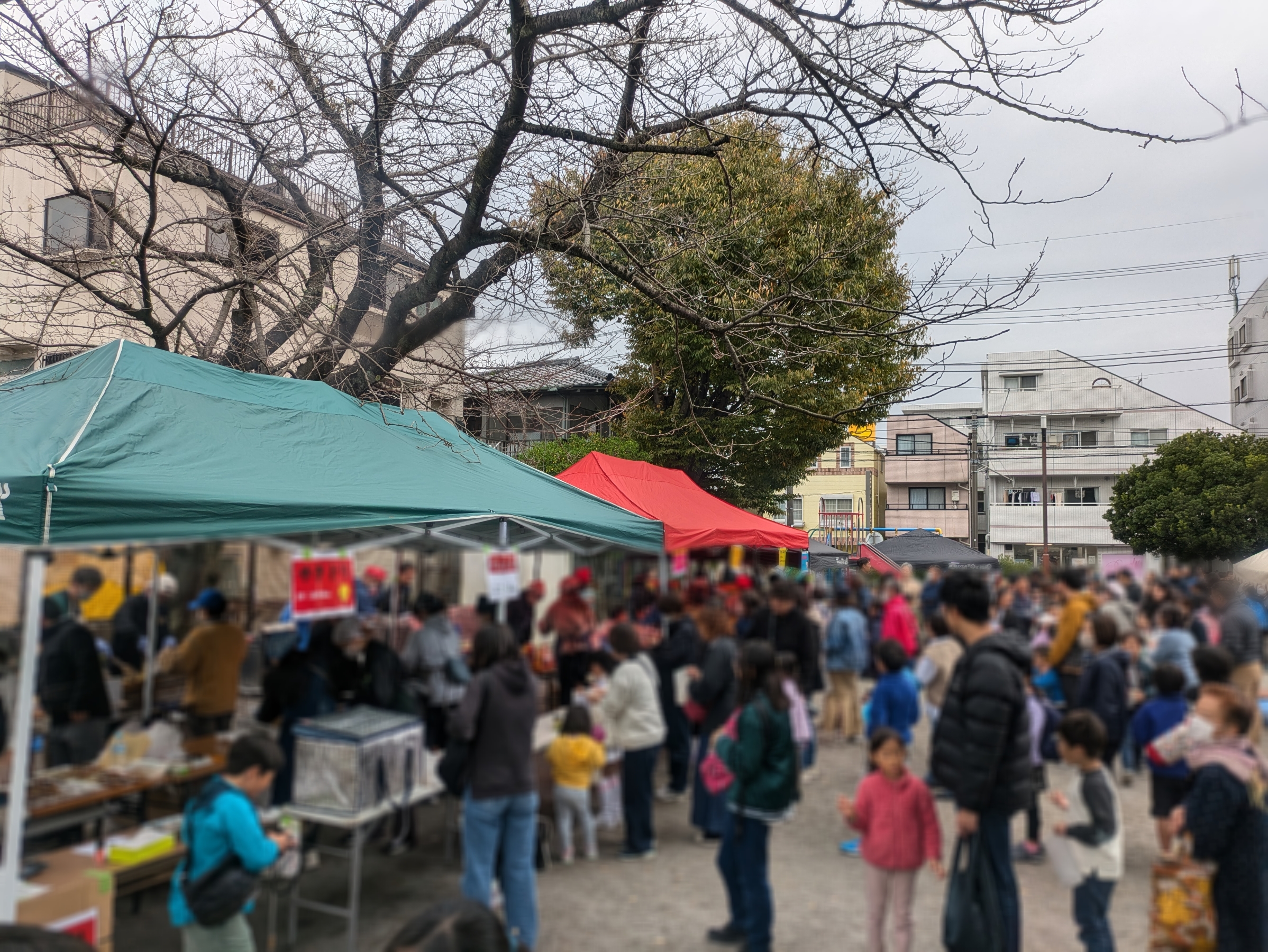 公園で開催されていた学童クラブのお祭り