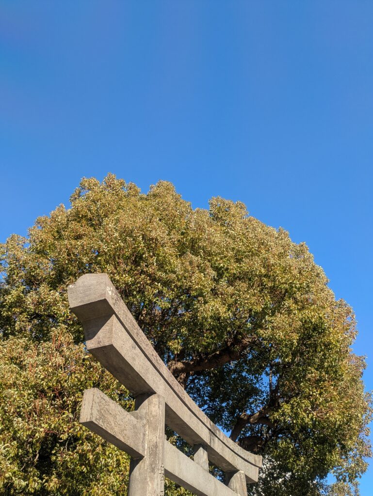 神社の鳥居と青空