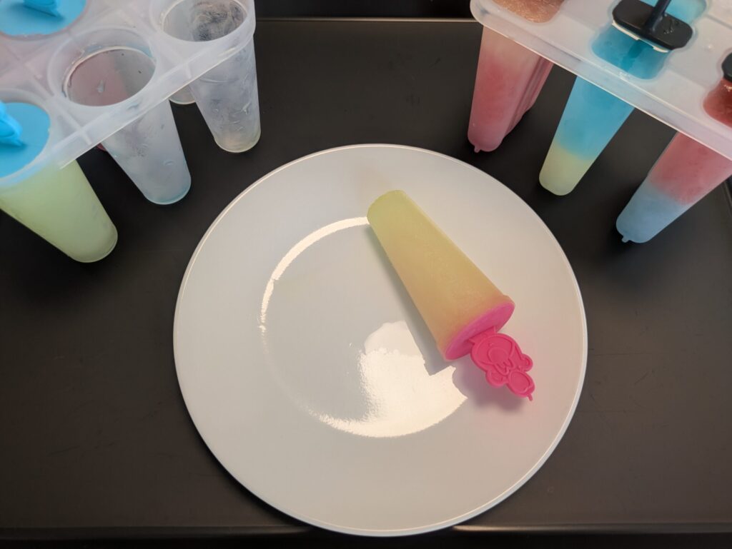 自宅の冷蔵庫で凍らせたアイスキャンデー