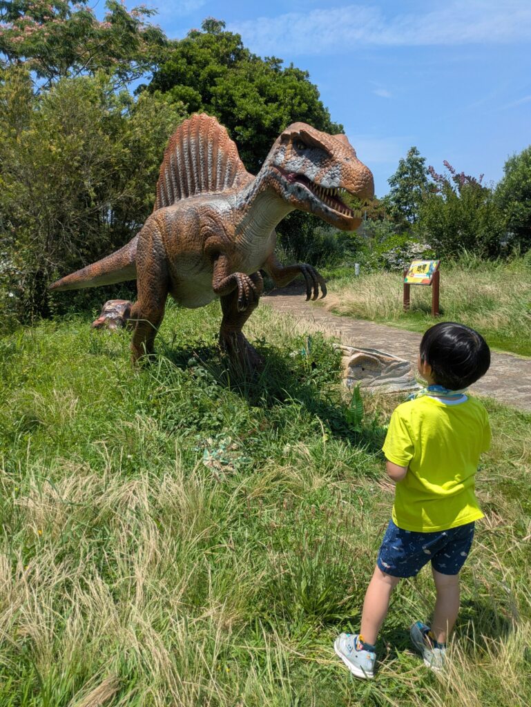 スピノサウルスと5歳児