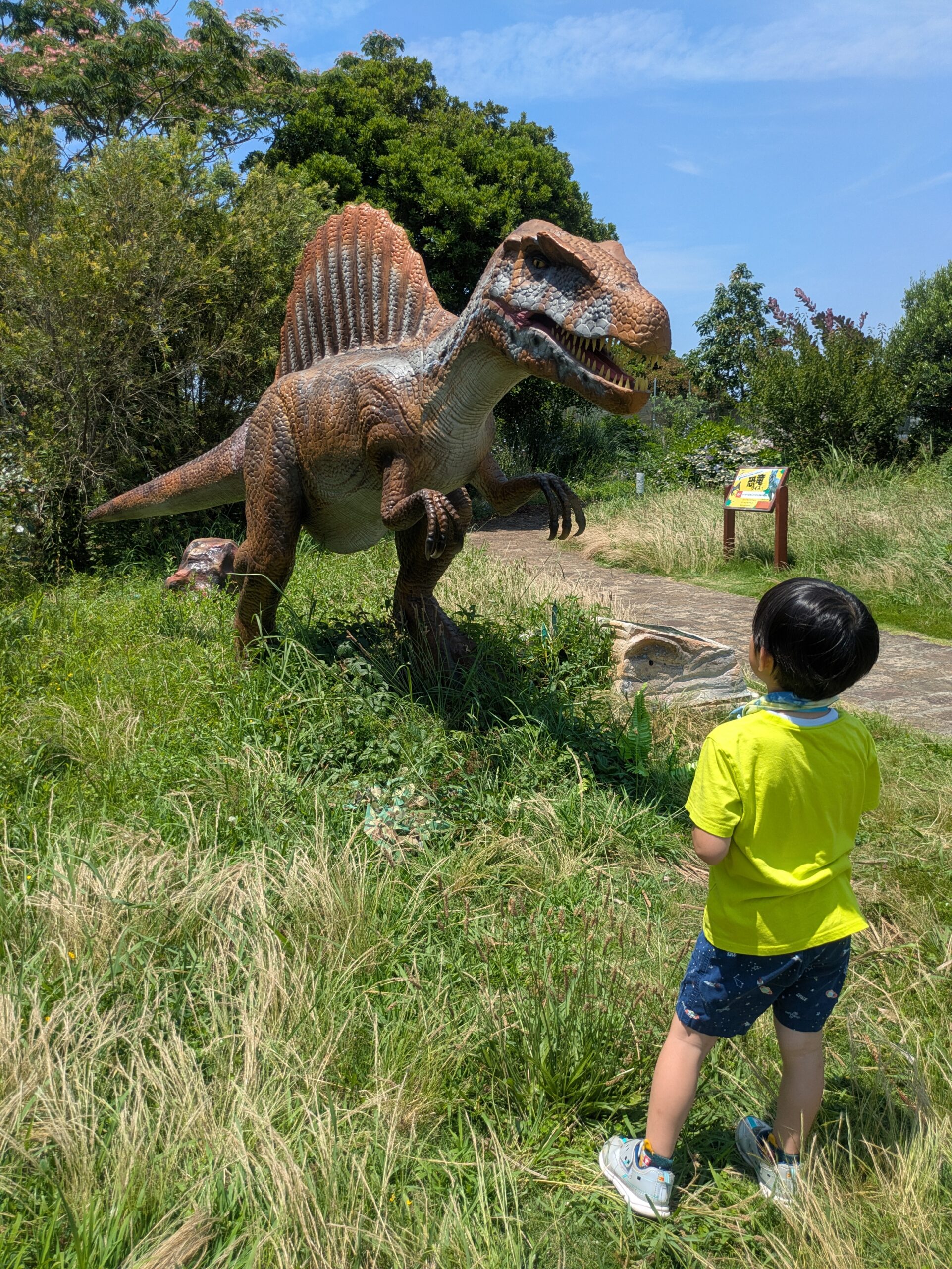 スピノサウルスと5歳児