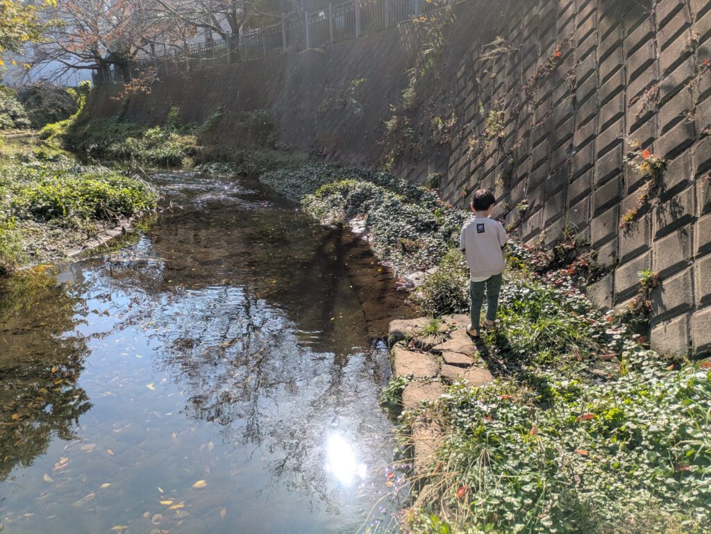 大岡川の遊歩道