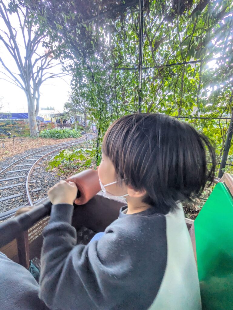 トロッコのアトラクションで遊ぶ男の子