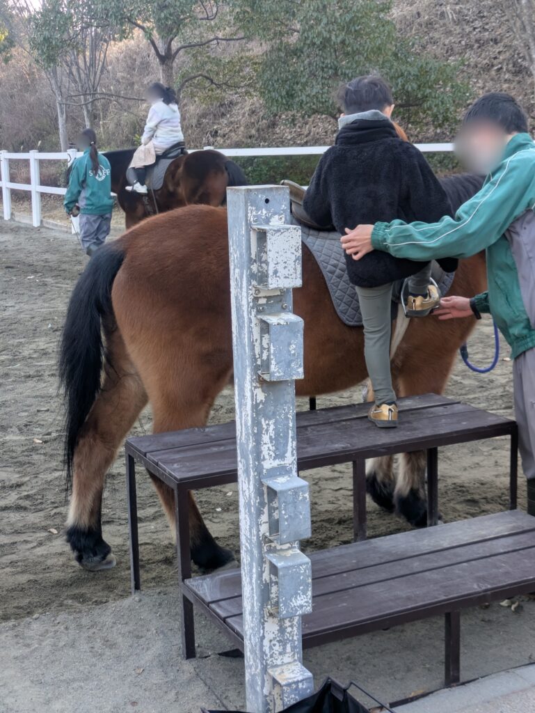 ズーラシアのぱかぱか広場の乗馬体験