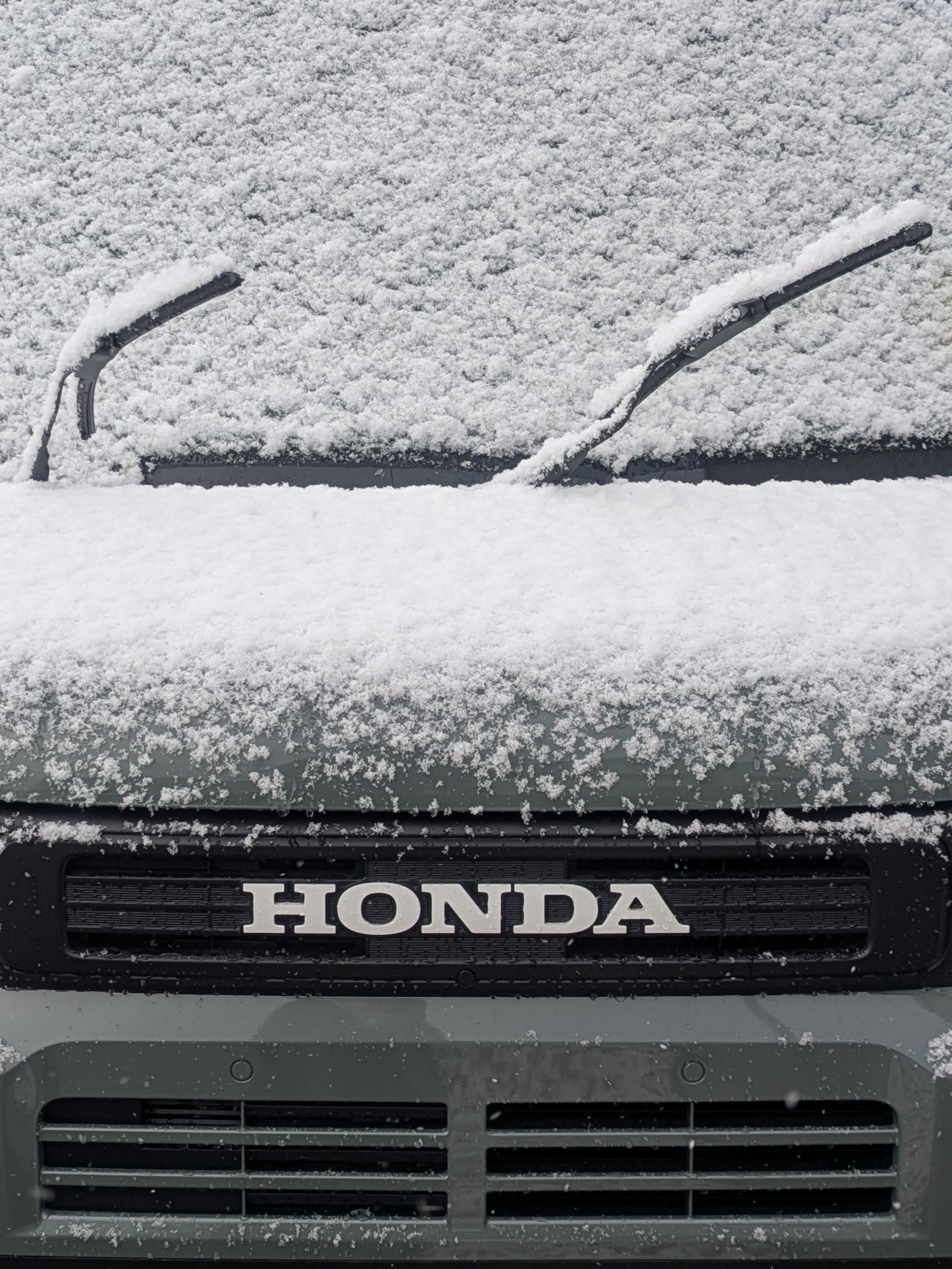 車に積もった雪